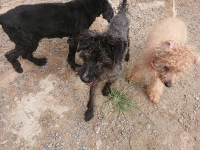 f:id:roukenhome-ann:20190816182420j:plain