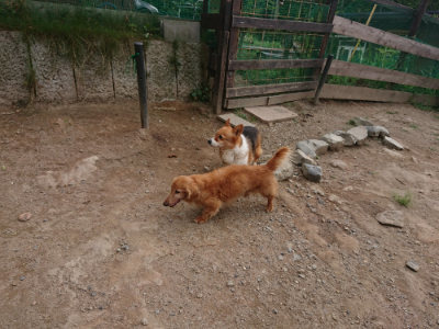 f:id:roukenhome-ann:20190816182432j:plain