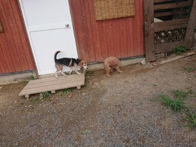 f:id:roukenhome-ann:20190816182456j:plain