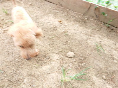 f:id:roukenhome-ann:20190816182858j:plain
