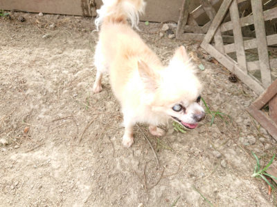 f:id:roukenhome-ann:20190816182928j:plain