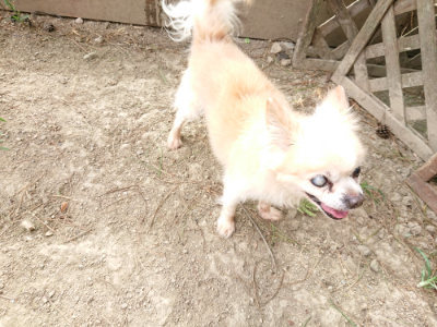 f:id:roukenhome-ann:20190816182933j:plain