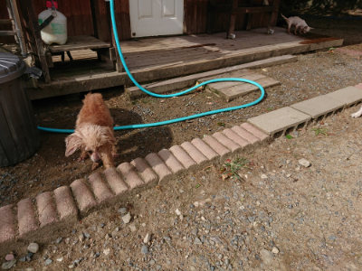 f:id:roukenhome-ann:20190816182946j:plain