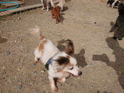 f:id:roukenhome-ann:20190816183023j:plain