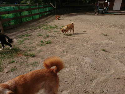 f:id:roukenhome-ann:20190816183529j:plain