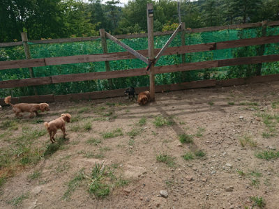 f:id:roukenhome-ann:20190816183559j:plain