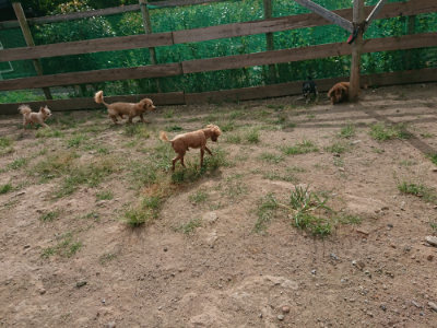 f:id:roukenhome-ann:20190816183626j:plain