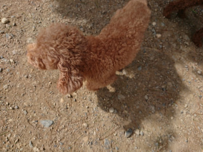 f:id:roukenhome-ann:20190816183632j:plain