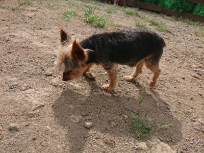 f:id:roukenhome-ann:20190816183650j:plain
