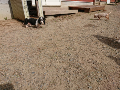 f:id:roukenhome-ann:20190816183848j:plain