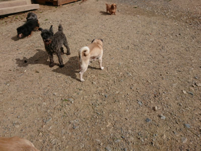 f:id:roukenhome-ann:20190816183933j:plain