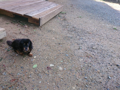 f:id:roukenhome-ann:20190816184002j:plain