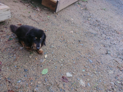 f:id:roukenhome-ann:20190816184009j:plain