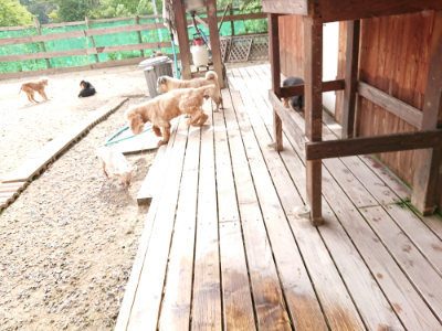 f:id:roukenhome-ann:20190816184439j:plain