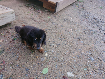 f:id:roukenhome-ann:20190816184446j:plain
