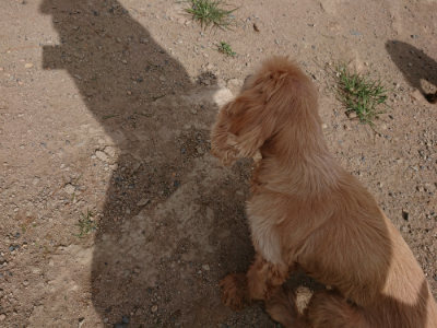 f:id:roukenhome-ann:20190816184455j:plain