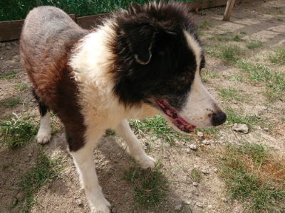 f:id:roukenhome-ann:20190816184547j:plain