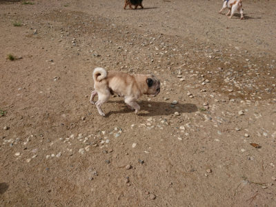 f:id:roukenhome-ann:20190816184611j:plain