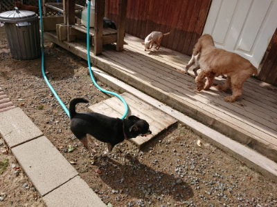 f:id:roukenhome-ann:20190816184934j:plain