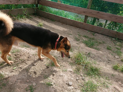 f:id:roukenhome-ann:20190816185024j:plain