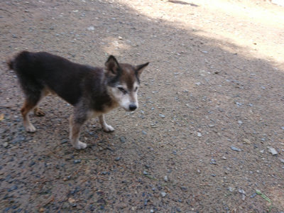f:id:roukenhome-ann:20190816185140j:plain