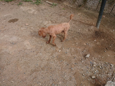 f:id:roukenhome-ann:20190816185148j:plain
