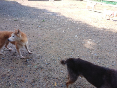 f:id:roukenhome-ann:20190816185221j:plain
