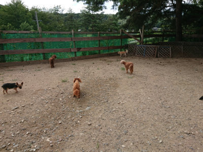 f:id:roukenhome-ann:20190816190019j:plain