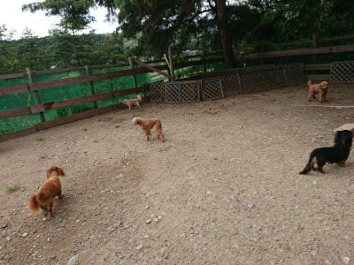 f:id:roukenhome-ann:20190816190026j:plain
