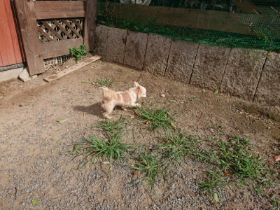 f:id:roukenhome-ann:20190816190034j:plain