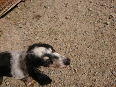 f:id:roukenhome-ann:20190816190221j:plain