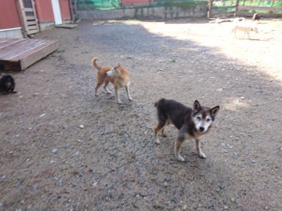 f:id:roukenhome-ann:20190816190237j:plain