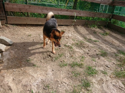 f:id:roukenhome-ann:20190816190252j:plain