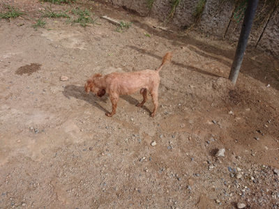 f:id:roukenhome-ann:20190816190315j:plain
