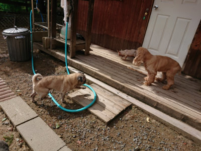 f:id:roukenhome-ann:20190816190321j:plain
