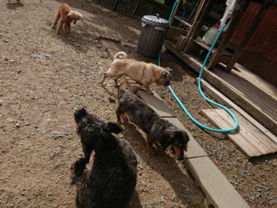 f:id:roukenhome-ann:20190816190357j:plain