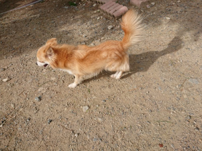 f:id:roukenhome-ann:20190816190422j:plain