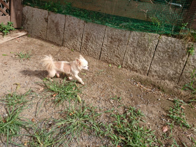f:id:roukenhome-ann:20190816190445j:plain