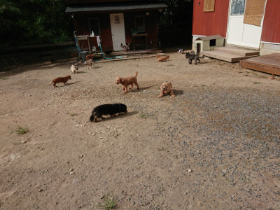 f:id:roukenhome-ann:20190816190632j:plain