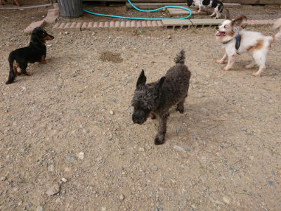 f:id:roukenhome-ann:20190816190736j:plain
