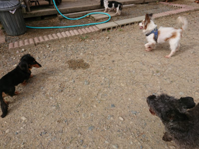 f:id:roukenhome-ann:20190816190745j:plain