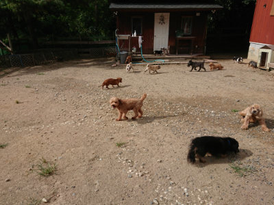 f:id:roukenhome-ann:20190816190758j:plain