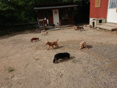 f:id:roukenhome-ann:20190816190816j:plain