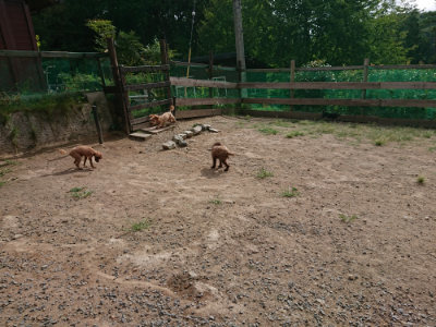 f:id:roukenhome-ann:20190816191034j:plain