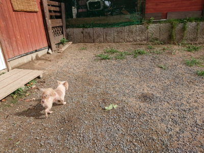 f:id:roukenhome-ann:20190816191045j:plain