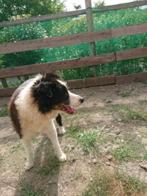 f:id:roukenhome-ann:20190816191055j:plain