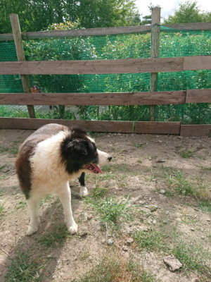 f:id:roukenhome-ann:20190816191107j:plain