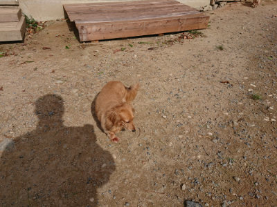 f:id:roukenhome-ann:20190816191146j:plain