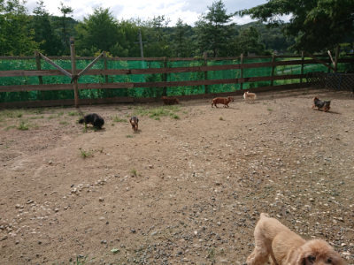f:id:roukenhome-ann:20190816191206j:plain
