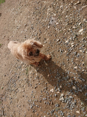 f:id:roukenhome-ann:20190816191306j:plain